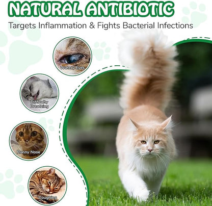 Antibiotics for Cats | Cat Antibiotics | Natural Antibiotics for Cats | Pet Antibiotics | Cat Itchy Skin Relief | Cat Allergy Relief | Cat Antibiotics for Skin Infection | 2 Fl Oz-Chicken Flavour