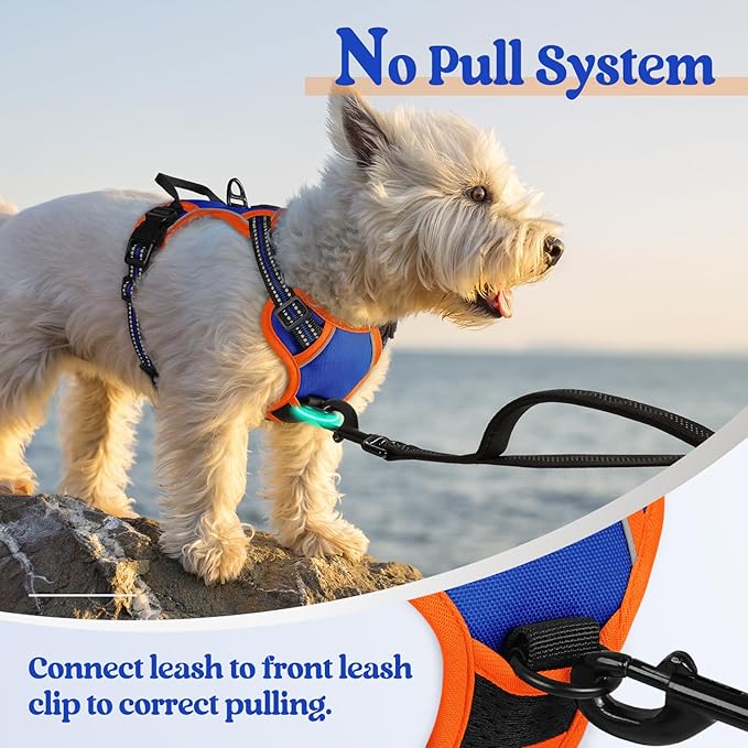 rabbitgoo Dog Harness No Pull with 2 Leash Clips, Adjustable Soft Padded, Reflective Oxford No Choke Pet Vest with Easy Control Handle for Puppy, Blue &amp; Orange, XS