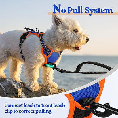 rabbitgoo Dog Harness No Pull with 2 Leash Clips, Adjustable Soft Padded, Reflective Oxford No Choke Pet Vest with Easy Control Handle for Puppy, Blue &amp; Orange, XS