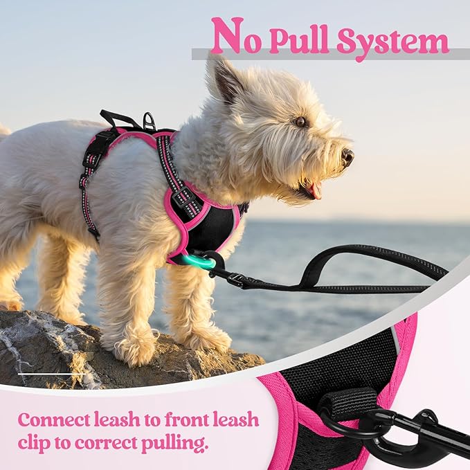 rabbitgoo Dog Harness No Pull with 2 Leash Clips, Adjustable Soft Padded, Reflective Oxford No Choke Pet Vest with Easy Control Handle for Large Dogs, Black &amp; Hot Pink, XS