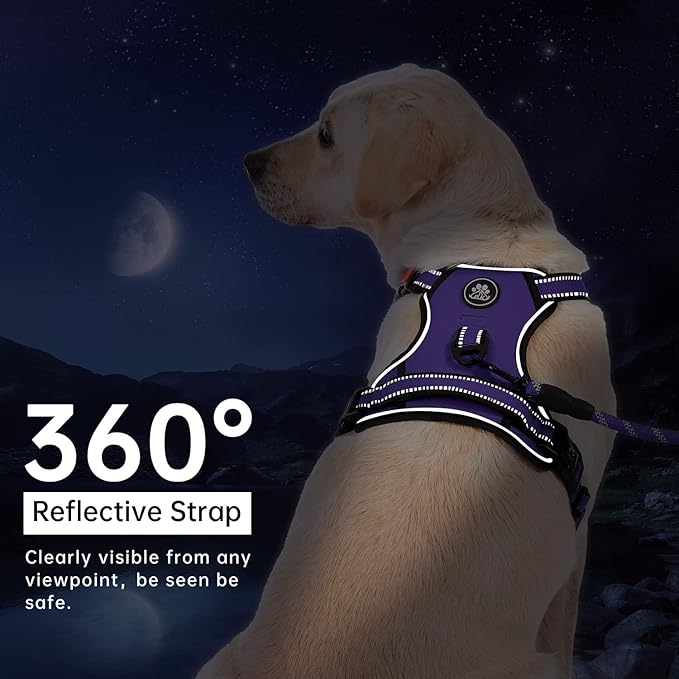 IVY&amp;LANE No Pull Dog Harness for Large Dogs, Dog Vest Harness with Leash, Safety Belt and Storage Strap, Fully Adjustable Harness, 360° Reflective Strip, Soft Handle (Purple, XL)