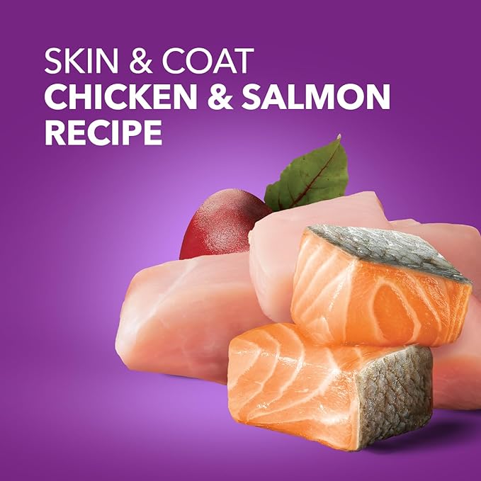 IAMS Advanced Health Skin &amp; Coat Adult Dry Dog Food Chicken and Salmon Recipe, 6 lb. Bag