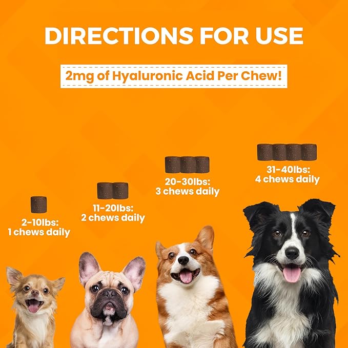 Nootie Progility Mini Hip &amp; Joint Small &amp; Medium Breed Chew Supplement for Dogs, 60 Count