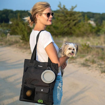 Park Pack 2-Piece Set Dog Gear Tote – Dog Travel Bag with 8 Pockets, Treat Pouch, Poop Bag Dispenser, Quick-Dry Ball Pocket, Collapsible Bowl, Perfect for Walks &amp; Park Trips, Graphite
