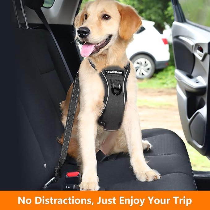 Dog Seat Belt Harness for Car, Dog Car Harness Adjustable Mesh Breathable &amp; Dogs Seatbelt Safety Tether with Elastic Bungee for Small Medium Large Pets(Carbon Black, S)