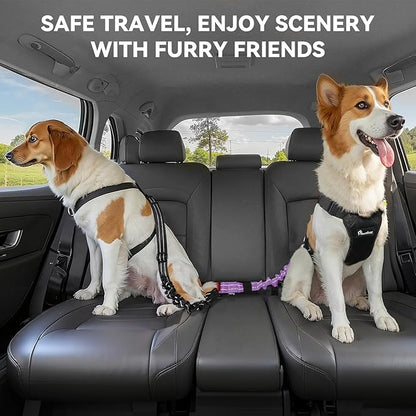 Pawaboo 2Pack Dog Seatbelt for Car, Dog Car Seat Belt Bungee, Shockproof Dog Tether for Car with Buckle &amp; Hook Latch, Adjustable Reflective Dog Car Harness Leash with 360° Lockable Buckle, Purple