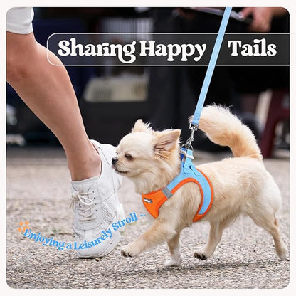 rabbitgoo Dog Harness Small Medium Sized and Leash Set, Step in Soft Light Puppy Vest, Breathable Mesh Pet Harness, Reflective for Safe Easy Walking, Blue &amp; Orange L