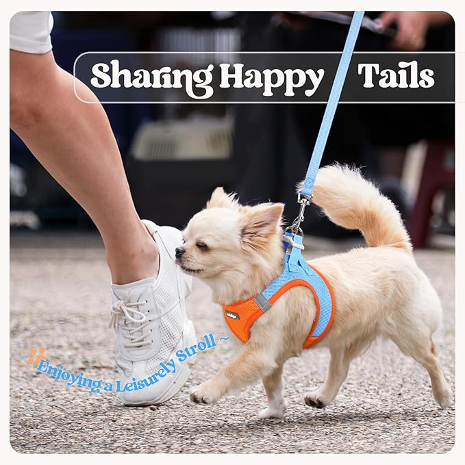 rabbitgoo Dog Harness Small Medium Sized and Leash Set, Step in Soft Light Puppy Vest, Breathable Mesh Pet Harness, Reflective for Safe Easy Walking, Blue &amp; Orange XL