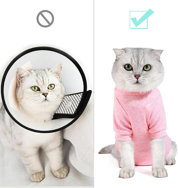 Dotoner Cat Surgery Recovery Suit for Female Male Anti-Licking Pet Surgical Pajamas Long Sleeve Prevent Shedding Cat Spay Recovery Suit&amp;E Collar Alternative Bodysuit for Cats