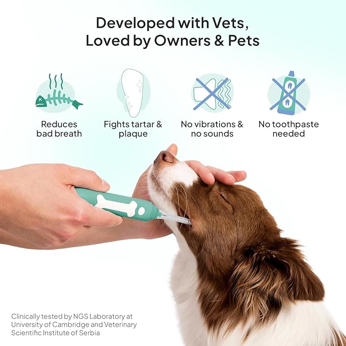 Dog Toothbrush | Innovative Eletrolytic Technology | Improves Oral Health &amp; Reduces Bad Breath | No Vibrations &amp; Silent Teeth Cleaning Brush | No Toothpaste Needed | Dog Teeth Cleaning Kit