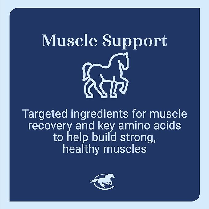 Uckele by SmartEquine Muscle EQ™ Powder | Muscle Supplement with L-Carnitine for Horses | Amino Acid Beta-Alanine for Optimal Muscle Function &amp; Supports Recovery | 4.3 lb Bag