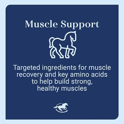 Uckele by SmartEquine Muscle EQ™ Powder | Muscle Supplement with L-Carnitine for Horses | Amino Acid Beta-Alanine for Optimal Muscle Function &amp; Supports Recovery | 4.3 lb Bag