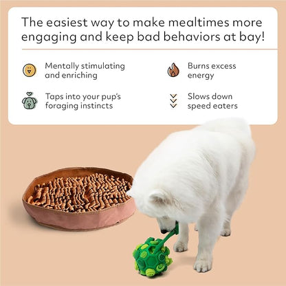 Reggie Enrichment Value Pack for Dogs with Stimulating Feeder Mat and Forager Ball to Relieve Speed Eating, Boredom, Stress | Vet-Approved &amp; Ideal for All Ages, Dog Breeds, and Sizes