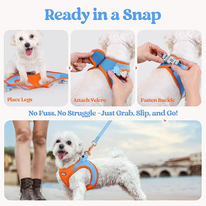 rabbitgoo Dog Harness Small Medium Sized and Leash Set, Step in Soft Light Puppy Vest, Breathable Mesh Pet Harness, Reflective for Safe Easy Walking, Blue &amp; Orange XL