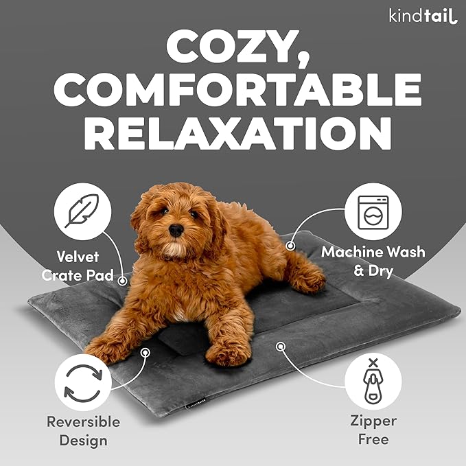 KindTail Dog Crate Pad - Soft Velvet, Reversible Bed - Machine Washable Kennel Mat for Pets up to 15 lbs, Mattress for Cozy Sleeping - 20” x 15” x 1” (Light Green, Small)