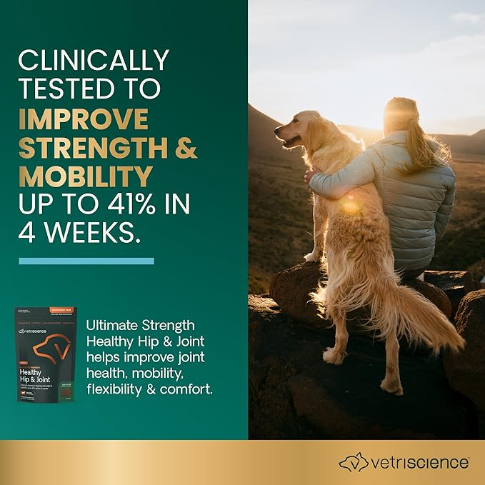 VetriScience Ultimate Strength Healthy Hip &amp; Joint Chews, GlycoFlex Glucosamine, Chondroitin and Green-Lipped Mussel Joint Support Supplement for Dogs, Soothe Joint Discomfort, Duck, 120 Count