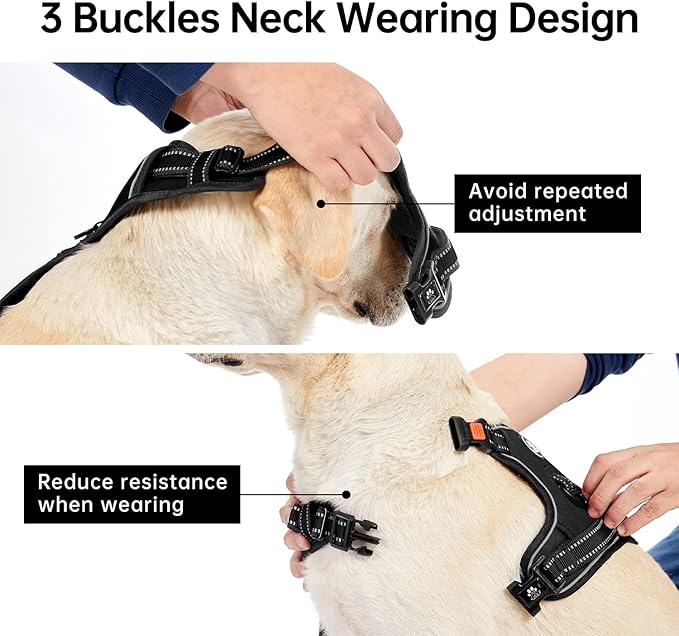 IVY&amp;LANE No Pull Dog Harness for Medium Dogs, Dog Vest Harness with Leash, Safety Belt and Storage Strap, Fully Adjustable Harness, 360° Reflective Strip, Soft Handle (Black, M)