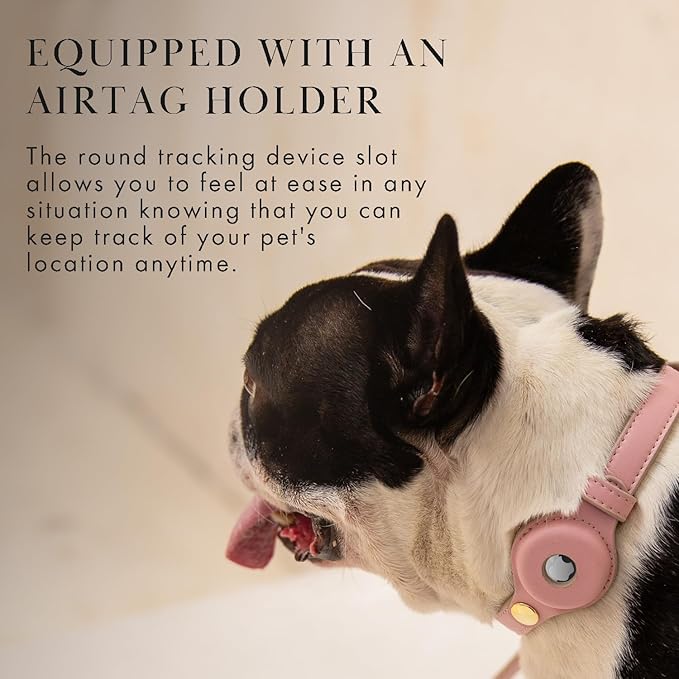 Cupertino Dog Collars, Harnesses &amp; Leashes Made from Vegan Leather with Dog Tracker Device Holder Adjustable Dog Collar (Medium, Pink)