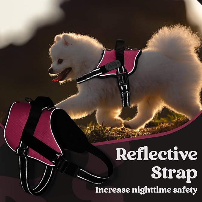 rabbitgoo Dog Harness for Small, Easy On Pet Vest with One Buckle, No Pull Adjustable Service Harness with D-Ring &amp; Handle, Reflective for Safety Walking, Training, Pink, S