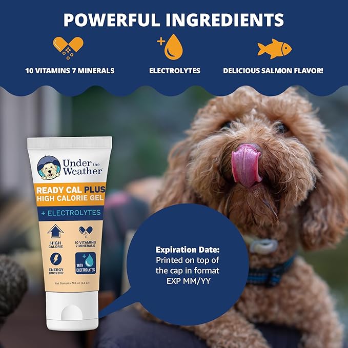 Under the Weather Pet Electrolytes Ready Cal Plus Gel for Dogs | Vet-Formulated High-Calorie Supplement for Dog &amp; Puppy | Provides Essential Calories &amp; Promotes Weight Gain | 3.5 Oz Tube Pack