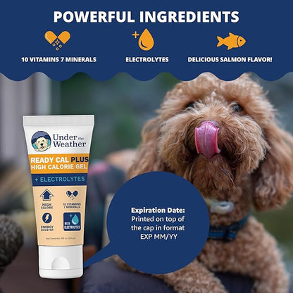 Under the Weather Pet Electrolytes Ready Cal Plus Gel for Dogs | Vet-Formulated High-Calorie Supplement for Dog &amp; Puppy | Provides Essential Calories &amp; Promotes Weight Gain | 3.5 Oz Tube Pack