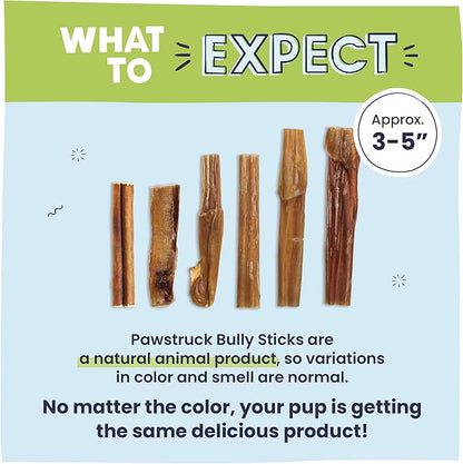 Pawstruck Natural 3–5" Bully Sticks for Small Dogs and Puppies – Single Ingredient, Low-Odor, Rawhide-Free Chew Treat – 100% Real Beef, No Artificial Preservatives – 8 oz Bag – Packaging May Vary