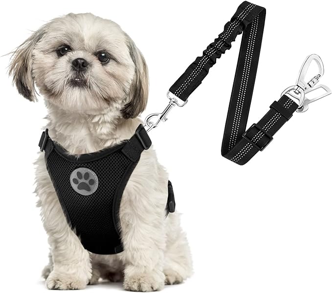 SlowTon Dog Seat Belt Harness for Car, Dog Car Harness Adjustable Mesh Breathable &amp; Dog Seatbelt Safety Tether with Elastic Bungee for Small Medium Large Pets(Black, Double Clip, XS)