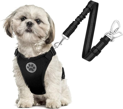 SlowTon Dog Seat Belt Harness for Car, Dog Car Harness Adjustable Mesh Breathable &amp; Dog Seatbelt Safety Tether with Elastic Bungee for Small Medium Large Pets(Black, Double Clip, XS)