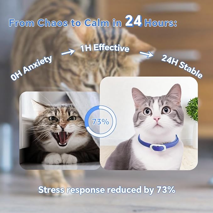 Calming Collar for Cats - 5 Pack, 150-Day Cat Calming Collar, Stress Relief &amp; Anxiety Control for Cats, Calm Collars Cat (3 Blue &amp; 2 Gray)