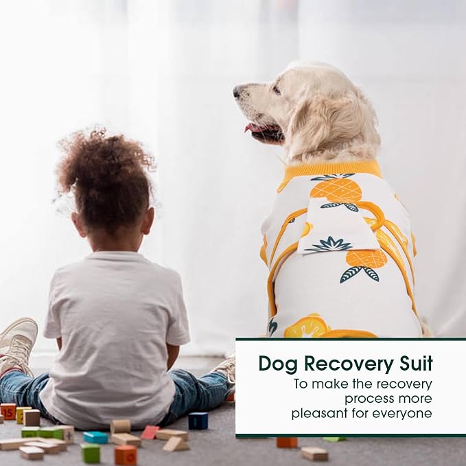 Kuoser Recovery Suit for Dogs Cats After Surgery, Professional Pet Recovery Shirt Dog Abdominal Wounds Bandages, Substitute E-Collar &amp; Cone,Prevent Licking Dog Onesies Pet Surgery Recovery Suit