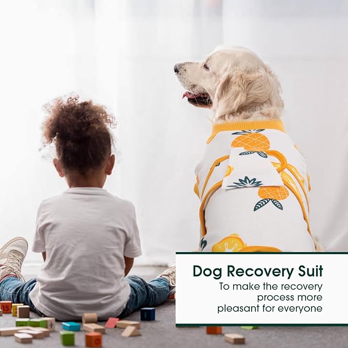 Kuoser Recovery Suit for Dogs Cats After Surgery, Professional Pet Recovery Shirt Dog Abdominal Wounds Bandages, Substitute E-Collar &amp; Cone,Prevent Licking Dog Onesies Pet Surgery Recovery Suit