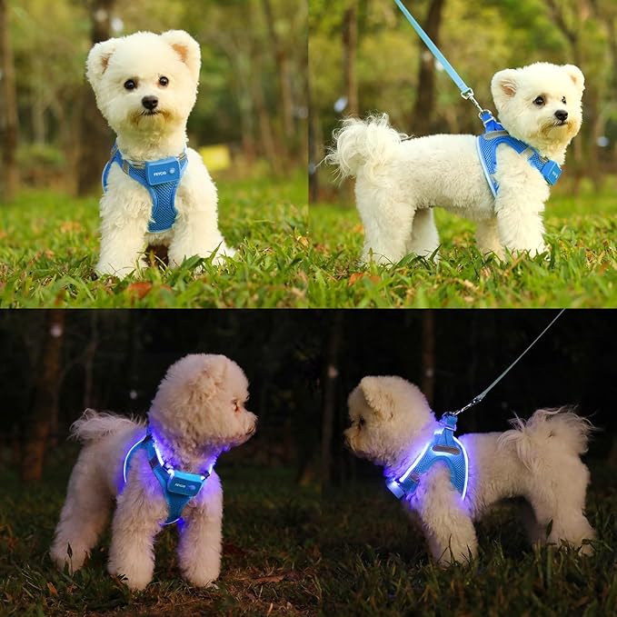 Light Up Dog Harness,Rechargeable LED Dog Harness for Small Medium Large Dogs,Reflective Lighted Safety Vest for Night Walking &amp; Camping,Lightweight &amp; Adjustable,Sky Blue,L