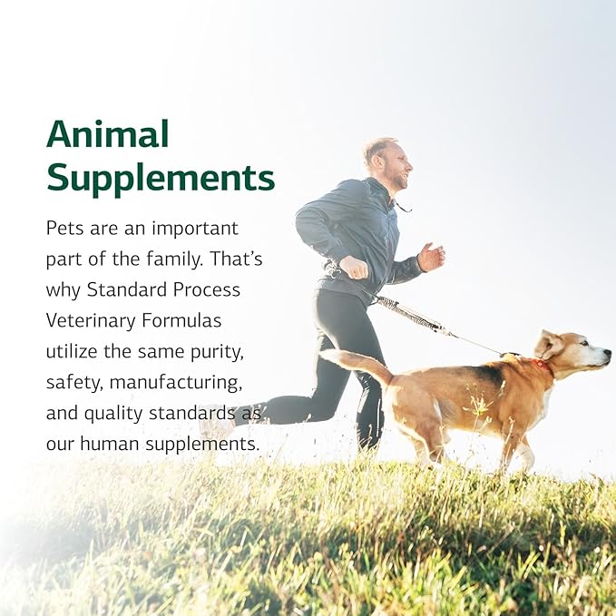 Standard Process Mushroom Complex for Dogs &amp; Cats - Immune Support Supplement with Bovine Colostrum - Lion&