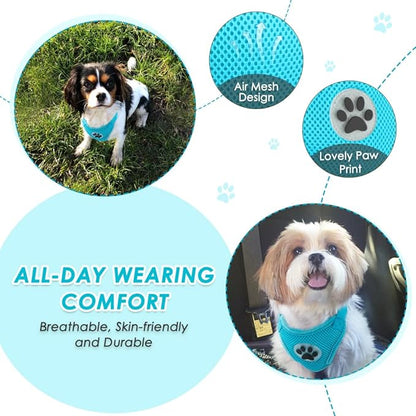 SlowTon Dog Seat Belt Harness for Car, Dog Car Harness Adjustable Mesh Breathable &amp; Dog Seatbelt Safety Tether with Elastic Bungee for Small Medium Large Pets(Light Blue, Double Clip, XXS)
