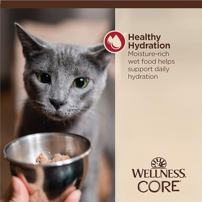 Wellness CORE Tiny Tasters Minced Adult Wet Cat Food, Natural, Protein-Rich, Grain Free, 1.75-Ounce Pouch, 12 Pack, (Chicken &amp; Beef)