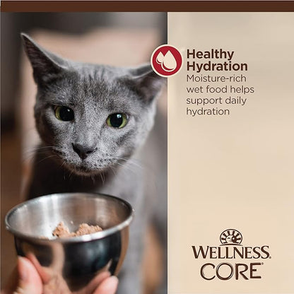 Wellness CORE Tiny Tasters Minced Adult Wet Cat Food, Natural, Protein-Rich, Grain Free, 1.75-Ounce Pouch, 12 Pack, (Chicken &amp; Beef)