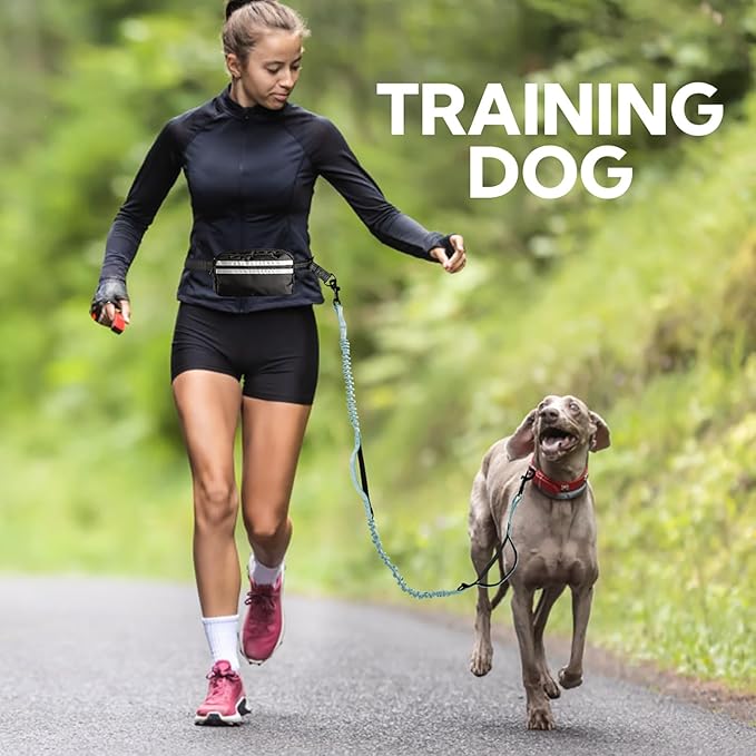 Hands Free Dog Leash with Pouch, Adjustable Waist Belt with Double Padded Handles, Waist Leash for Dog Walking, Dog Leash with Bungee for Medium &amp; Large Dog, Dog Walking Accessories, Olive