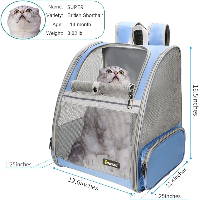 Texsens Pet Backpack Carrier for Small Cats Dogs | Ventilated Design, Safety Straps, Buckle Support, Collapsible | Designed for Travel, Hiking &amp; Outdoor Use (Blue)