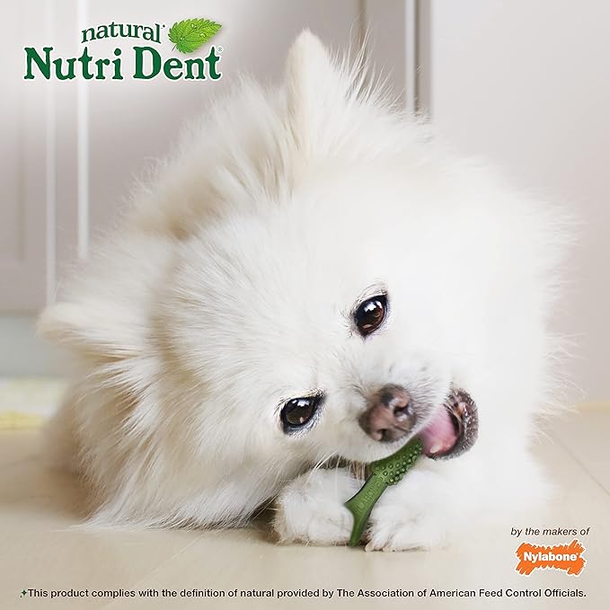 Nylabone Nutri Dent Dog Dental Chews - Natural Dog Teeth Cleaning &amp; Breath Freshener - Dental Treats for Dogs - Fresh Breath Flavor, Mini (160 Count)