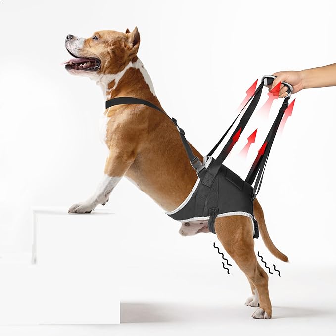 Dog Hip Support Brace – Rear Leg Lift Harness for Mobility &amp; Post-Surgery Recovery, with Chest Straps and Adjustable Elastic Buckles, Customization