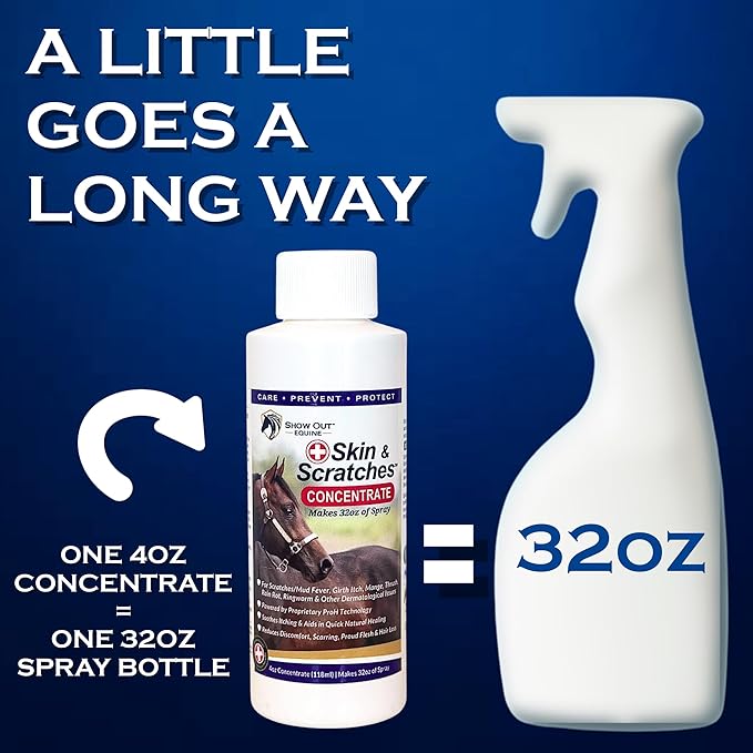 Show Out Skin &amp; Scratches 4 oz Concentrate - Fast Relief and Prevention for Horse Care. Use on Equine Scratches/Mud Fever, Girth Itch, Mange, Thrush, Rain Rot, Ringworm, etc w/Empty Spray Bottle