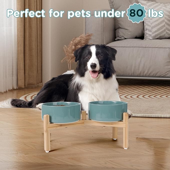 SPUNKYJUNKY Elevated Dog Bowls Ceramic, 7.3&