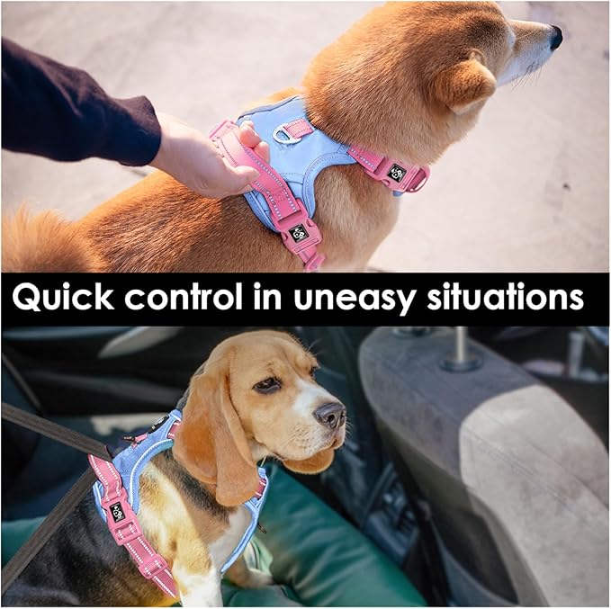 PHOEPET No Pull Dog Harness, Unique Colors Reflective Adjustable Dog Vest, with Soft Training Handle Metal Clips for Small Medium Large Dogs (Baby Blue Base &amp; Pink Straps,XL)
