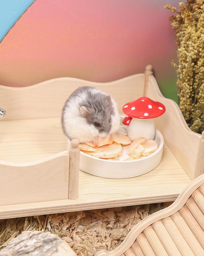 Niteangel Hamster Snack &amp; Treats Toy - Small Animal Natural Treat for Dwarf Syrian Robo Hamsters Gerbils Mice Lemmings Degus or Other Small-Sized Pets
