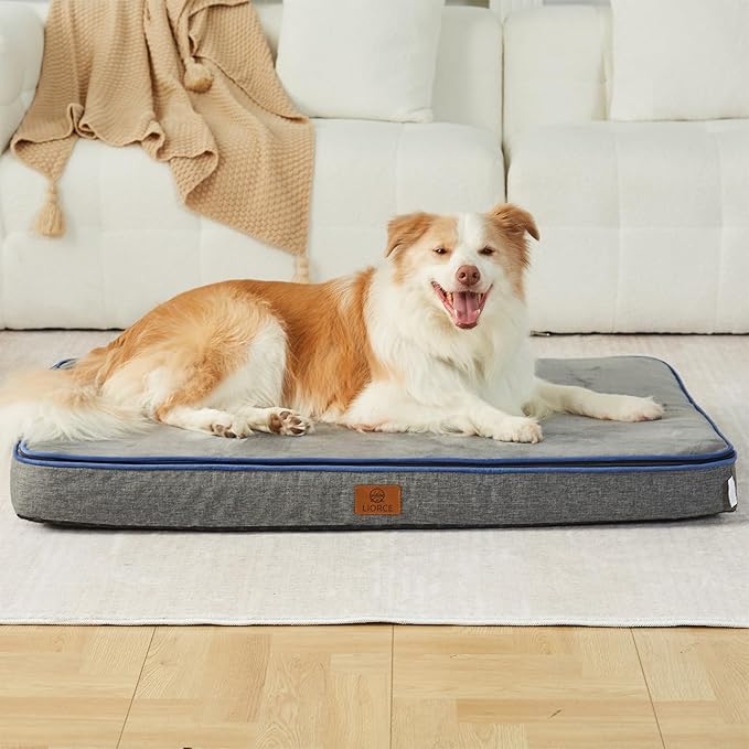 Memory Foam XL Dog Bed - 4” Thick Orthopedic Beds for Extra Large Dogs - Waterproof Dog Bed with Removable Washable Cover &amp; Wrap-Around Zipper - Ultimate Comfort and Easy Maintenance