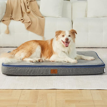Memory Foam XL Dog Bed - 4” Thick Orthopedic Beds for Extra Large Dogs - Waterproof Dog Bed with Removable Washable Cover &amp; Wrap-Around Zipper - Ultimate Comfort and Easy Maintenance