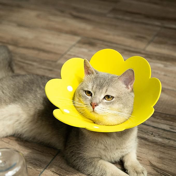 3-Pack Cat Recovery Collar - Sunflower Neck Cone, Anti-Licking, Prevents Biting &amp; Scratching (Pink, Orange, Yellow) (M)