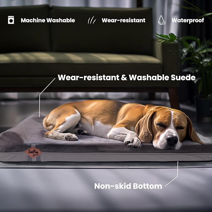 Laifug Orthopedic Memory Foam Extra Large Dog Bed with Pillow and Durable Water Proof Liner &amp; Removable Washable Cover &amp; Smart Design (Large (40"x25"x5.5"), Grey)