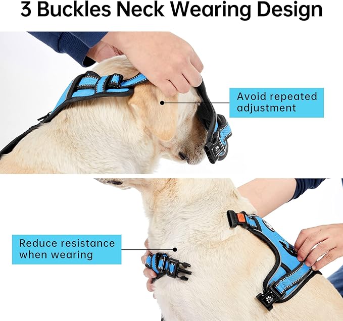 IVY&amp;LANE No Pull Dog Harness for Medium Dogs, Dog Vest Harness with Leash, Safety Belt and Storage Strap, Fully Adjustable, 360 Reflective Strip, Soft Handle (Blue, M)