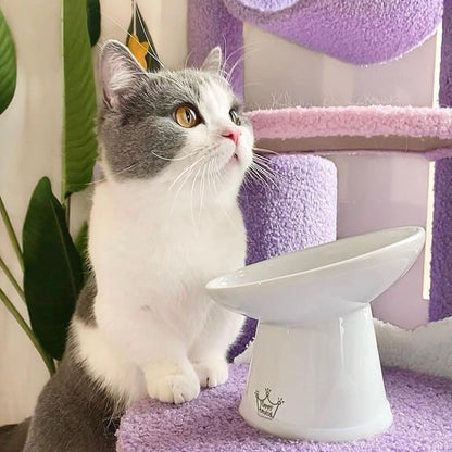 Necoichi Extra Wide Raised Cat Food Bowl, Elevated, Prevent Neck &amp; Whisker Fatigue, Dishwasher and Microwave Safe, No.1 Seller in Japan! (Cat, Extra Wide Tilted)